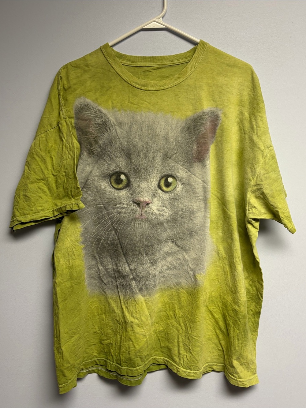 Cat Graphic tie dye T-Shirt - Green with Grey Kitten